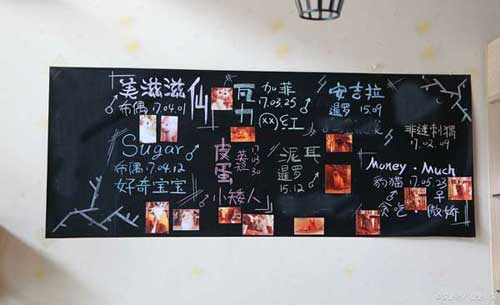 教师常用的教学方法集锦