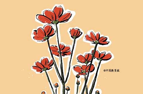 怎样过一个幸福感十足的寒假