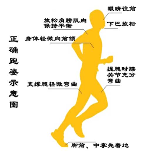 体育中考中长跑通关秘籍：科学原理+技术细节+临场发挥